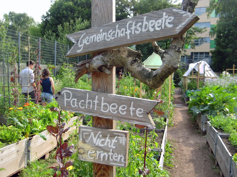 Weddinger Stadtnatur: Der Gemeinschaftsgarten Himmelbeet. Foto: Hensel