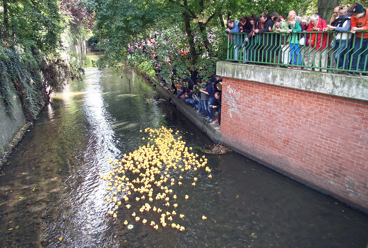 Entenrennen auf der Panke vor fünf Jahren. Foto: Dominique Hensel