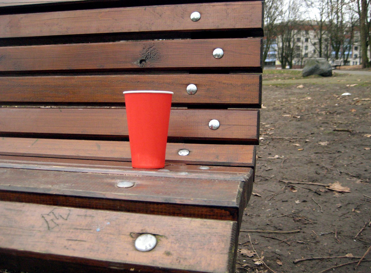 Einwegbecher im Humboldthain. Nach wenigen Minuten war er Müll. Foto: Hensel