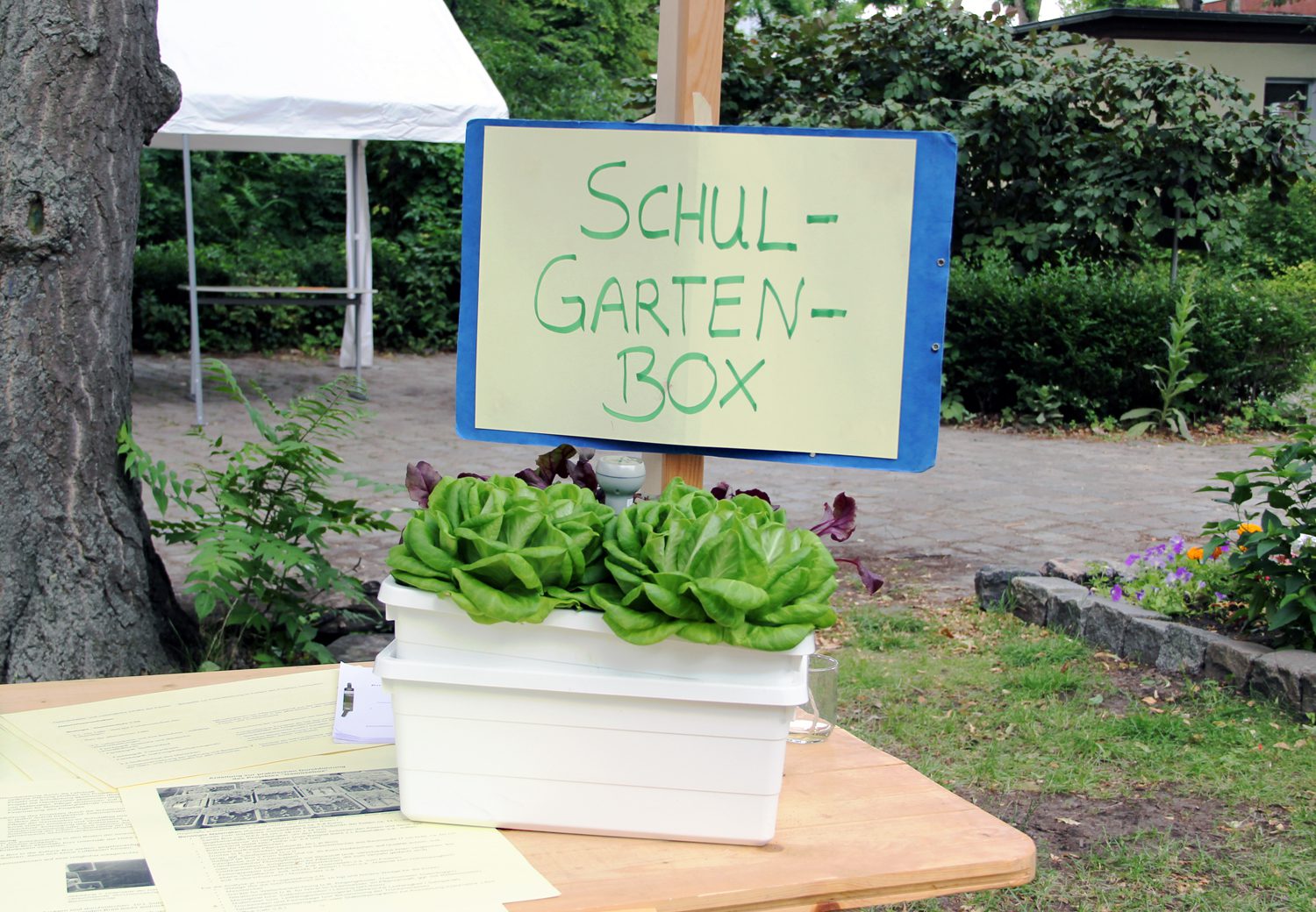 Die Schulgartenbox gewann einen 3. Preis beim Umweltpreis Mitte 2018. Foto: Hensel