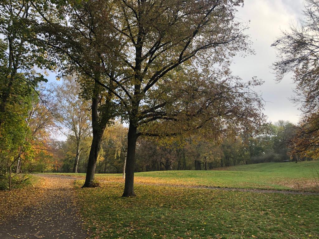 Den Schillerpark im Herbst entdecken