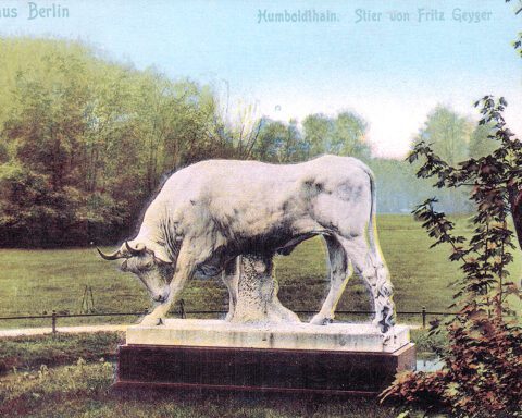 Postkarte vom weißen Stier im Humboldthain
