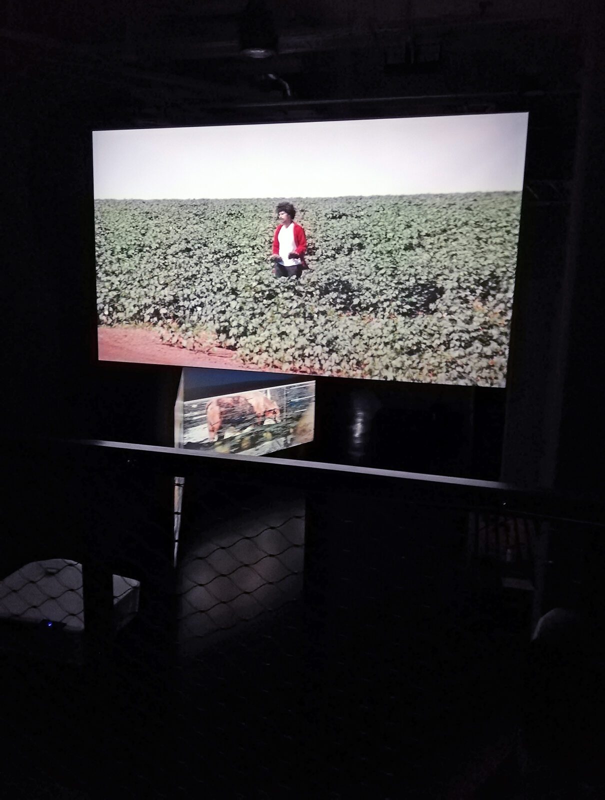 Zwei Bildschirme mit Videoarbeiten in der Betonhalle. Foto: Hensel