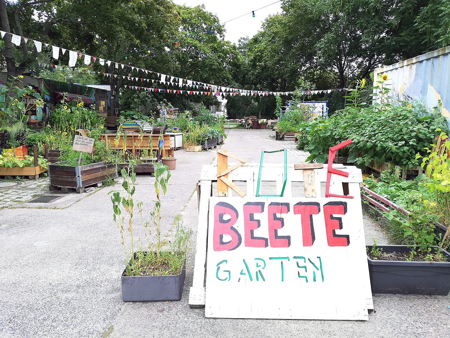 Der Gemeinschaftsgarten Rote Beete am Centre Francais. Foto: Hensel