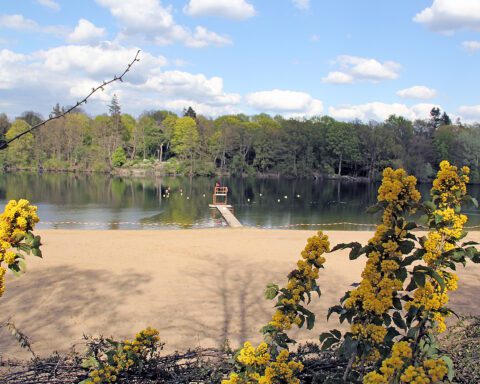 Das Strandbad Plötzensee kurz vor Beginn der Badesaison im April 2022. Foto: Hensel