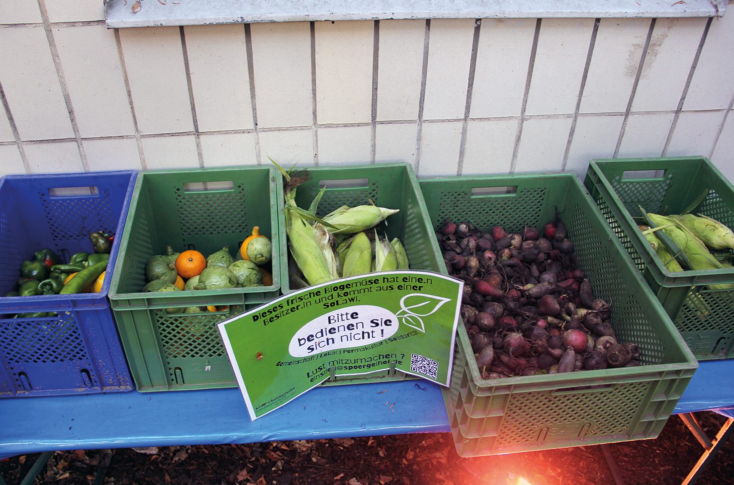Frisch vom Feld: Bio-Gemüse an der Abholstelle im Centre Francais. Foto: Hensel