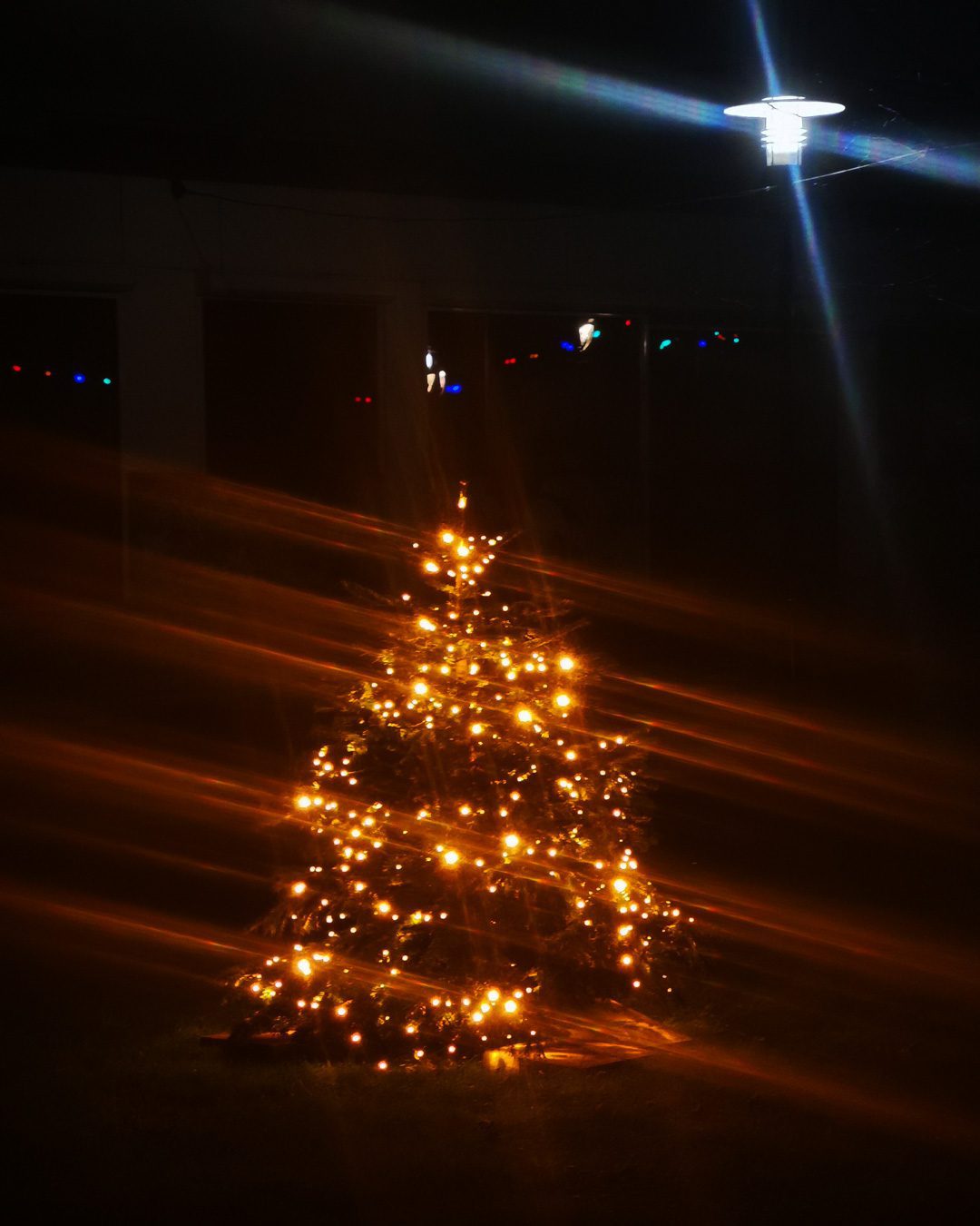 Beleuchteter Weihnachtsbaum im Sprengelkiez