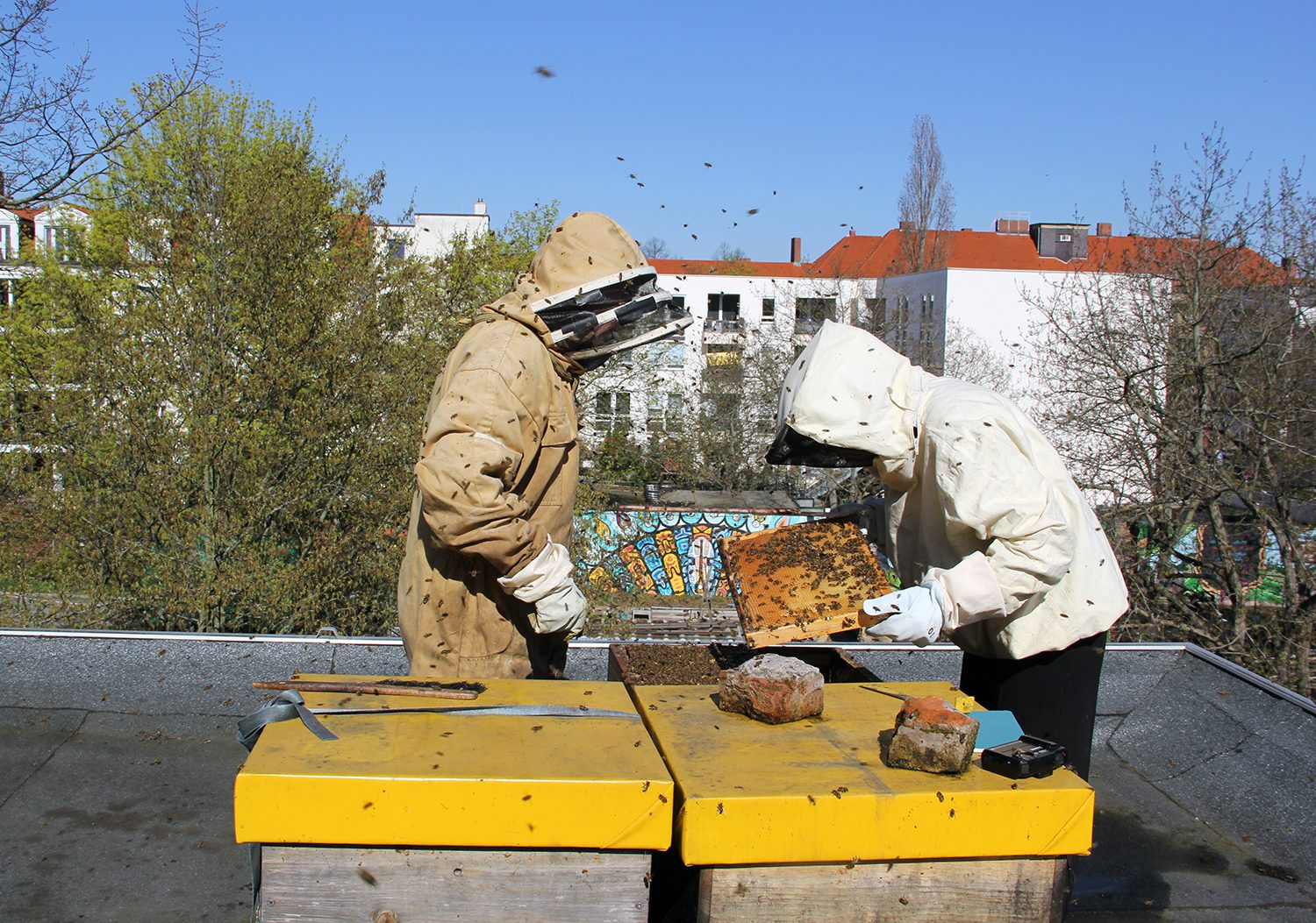 Bei den Bienen auf dem Dach des Centre Francais. Foto: Hensel