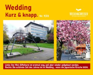 Wedding kurz & knapp