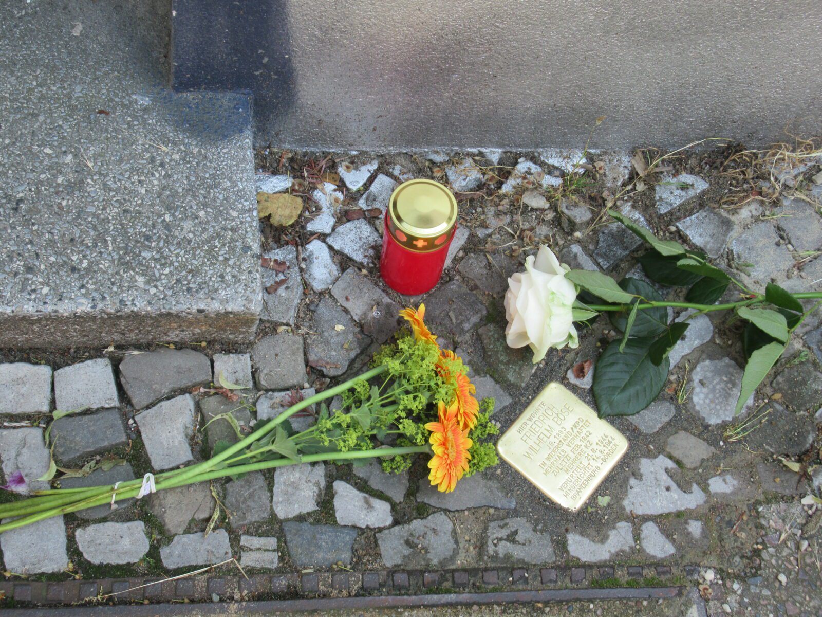 Blumen am Stolperstein für Wilhelm Böse am 24.6.23