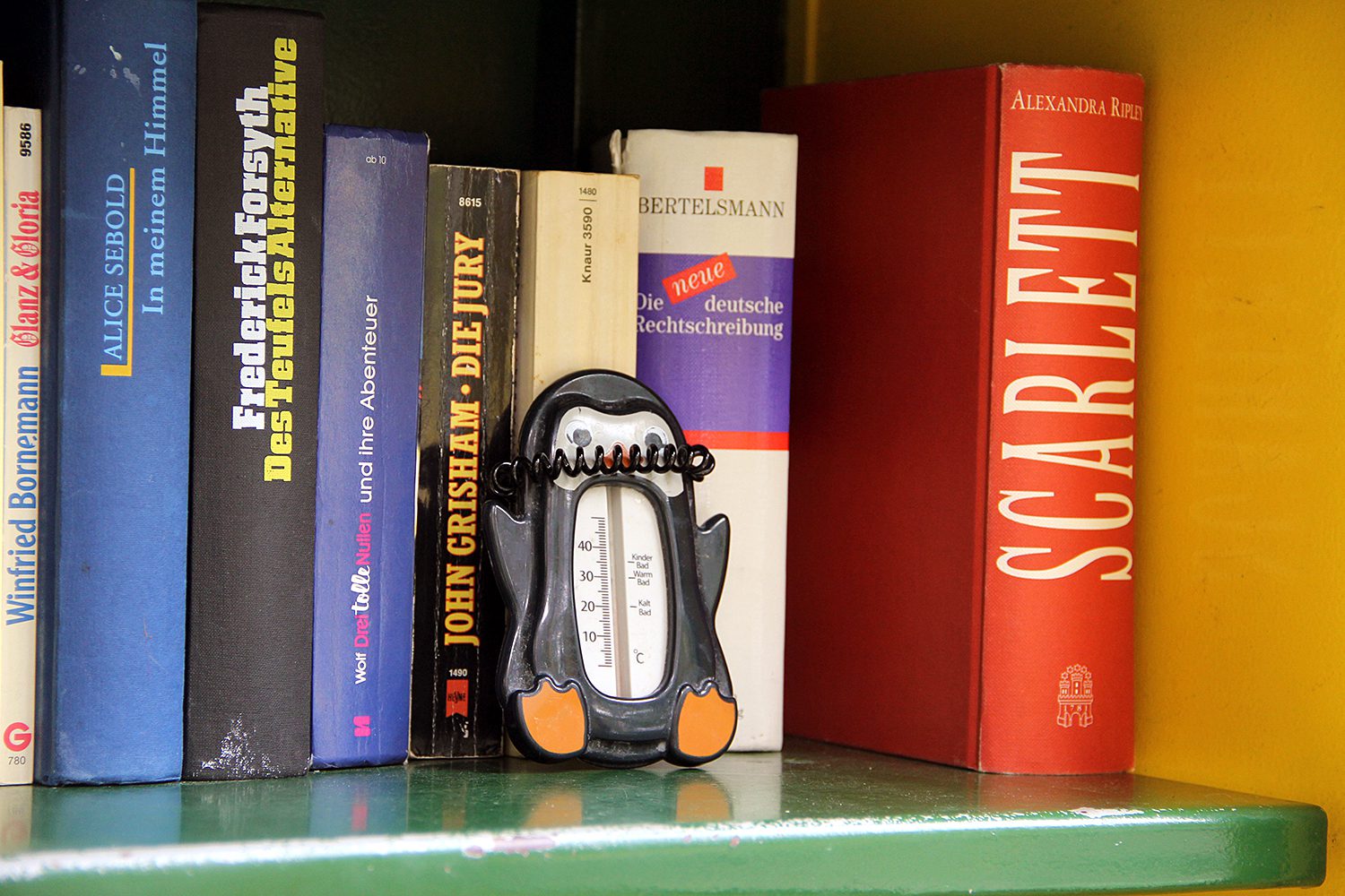 Ist der Pinguin hier nicht falsch in der Bücherbox an der Fabrik Osloer Straße? Eigentlich schon. Aber die Patin der Bücherbox findet das Thermometer niedlich. Es darf bleiben. Foto: Hensel