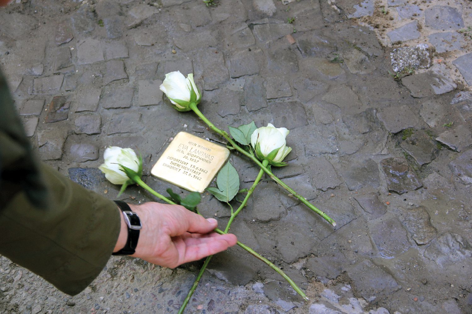 Frisch verlegter Stolperstein für Eva Langnas in der Kattegatstraße. Foto: Hensel